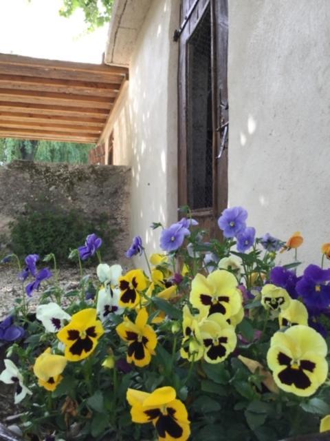 Gites La Ferme De Marguerite Tulette 외부 사진